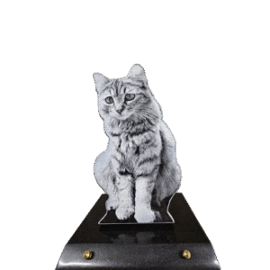 plaque funéraire en granit chat (30cmx20cm)