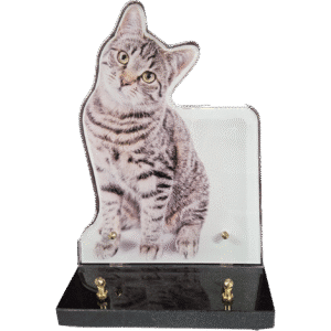 plaque funéraire en plexiglass chat (grand modèle)