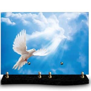Plaque funéraire personnalisée avec photo d'une colombe blanche volant dans un ciel bleu traversé par des rayons de lumière. Symbole de paix, d'âme et de liberté retrouvée