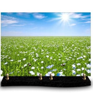 Plaque funéraire personnalisée avec photo d'un grand champ de fleurs blanches et bleues sous un ciel bleu et soleil intense. Hommage lumineux à l'amour de la nature et des champs de fleurs.