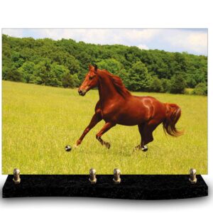 Plaque funéraire personnalisée avec photo d'un cheval alezan au galop libre dans un pré vert. Hommage à l'amour des chevaux, de l'équitation ou de la liberté.