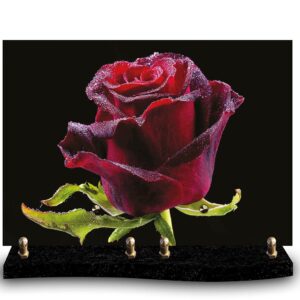 Plaque funéraire personnalisée avec photo macro d'une rose rouge unique recouverte de perles de rosée sur fond noir. Symbole d'amour éternel et de passion.