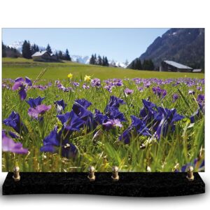 Plaque funéraire personnalisée avec photo d'un champ de gentianes et fleurs violettes, avec des sommets montagneux enneigés. Hommage à la montagne, aux Alpes et à la nature fleurie