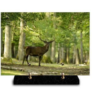 Plaque rectangle « Nature » – Cerf (21cm×29cm) Modèle de taille Moyenne