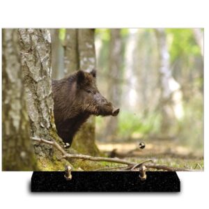 Plaque rectangle sanglier (21cmx29cm) Modèle de taille Moyenne