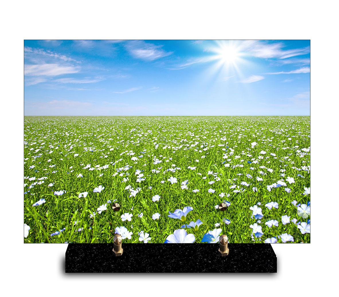 Plaque rectangle "Nature" - Champ de lin en fleurs (21cmx29cm) Modèle de taille Moyenne