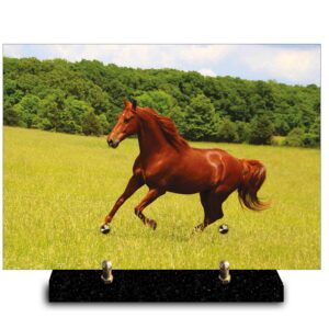 Plaque rectangle cheval brun galopant dans un herbage verdoyant (21cmx29cm) Modèle de taille Moyenne