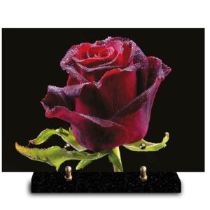 Plaque funéraire personnalisée avec photo macro d'une rose rouge sombre couverte de gouttelettes de givre sur fond noir. Symbole de l'amour intense, du deuil et de la passion éternelle.