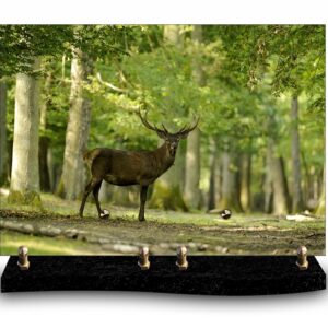 plaque rectangle « nature » – cerf (24cm×34cm) modèle de grande taille