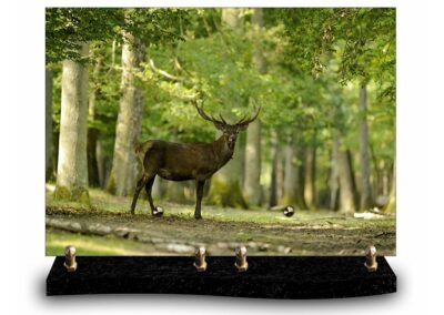 plaque rectangle « nature » – cerf (24cm×34cm) modèle de grande taille