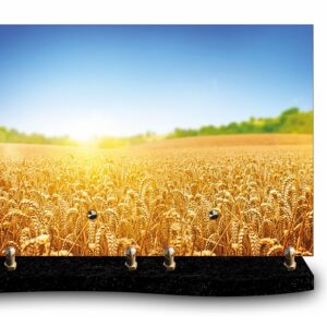 plaque rectangle « nature » – champ de blé (24cm×34cm) modèle de grande taille