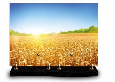 plaque rectangle « nature » – champ de blé (24cm×34cm) modèle de grande taille
