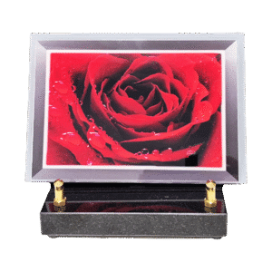 plaque plexiglass rectangle rose rouge (19,5cmx13,5cm) modèle de petite taille