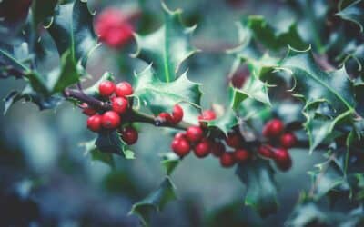 Honorer le Souvenir : Guide des Cadeaux Mémoriels pour les Fêtes de Fin d&rsquo;Année