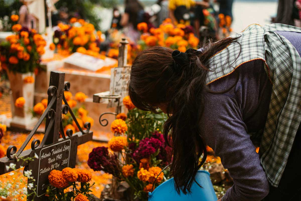 tombe automne