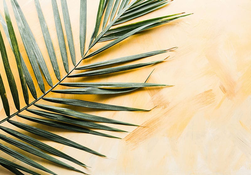 Hommage aux Défunts : Plaque Funéraire Personnalisée pour les Rameaux