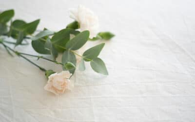 Toussaint : Guide Plaque Funéraire (Préparation Juillet/Août)